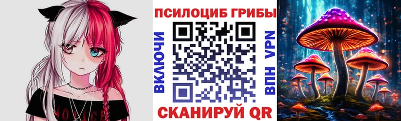 Галлюциногенные грибы Magic Shrooms  Суровикино 